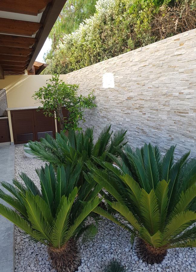 B&B Aloe Comfort Rooms San Vito Lo Capo Exteriör bild
