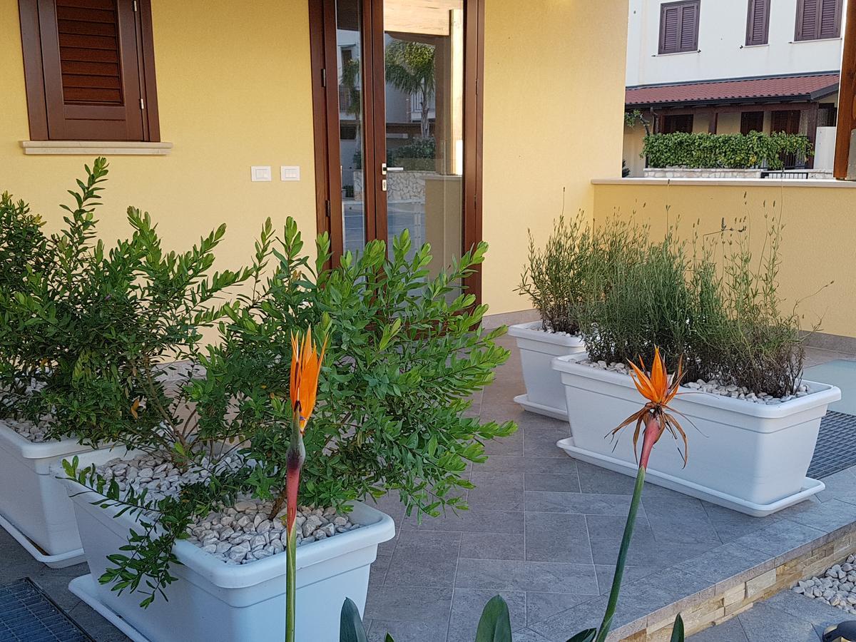 B&B Aloe Comfort Rooms San Vito Lo Capo Exteriör bild