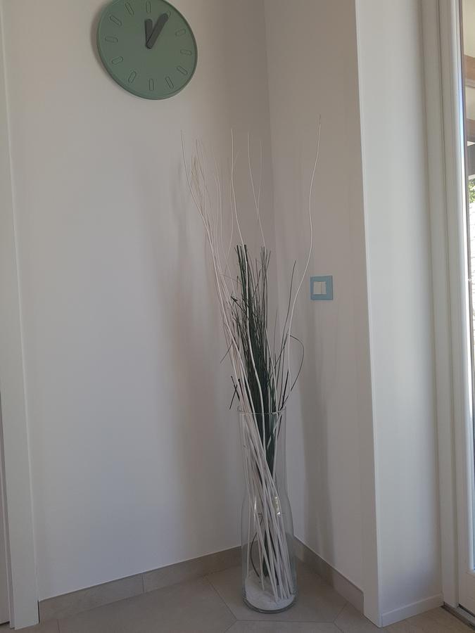 B&B Aloe Comfort Rooms San Vito Lo Capo Exteriör bild